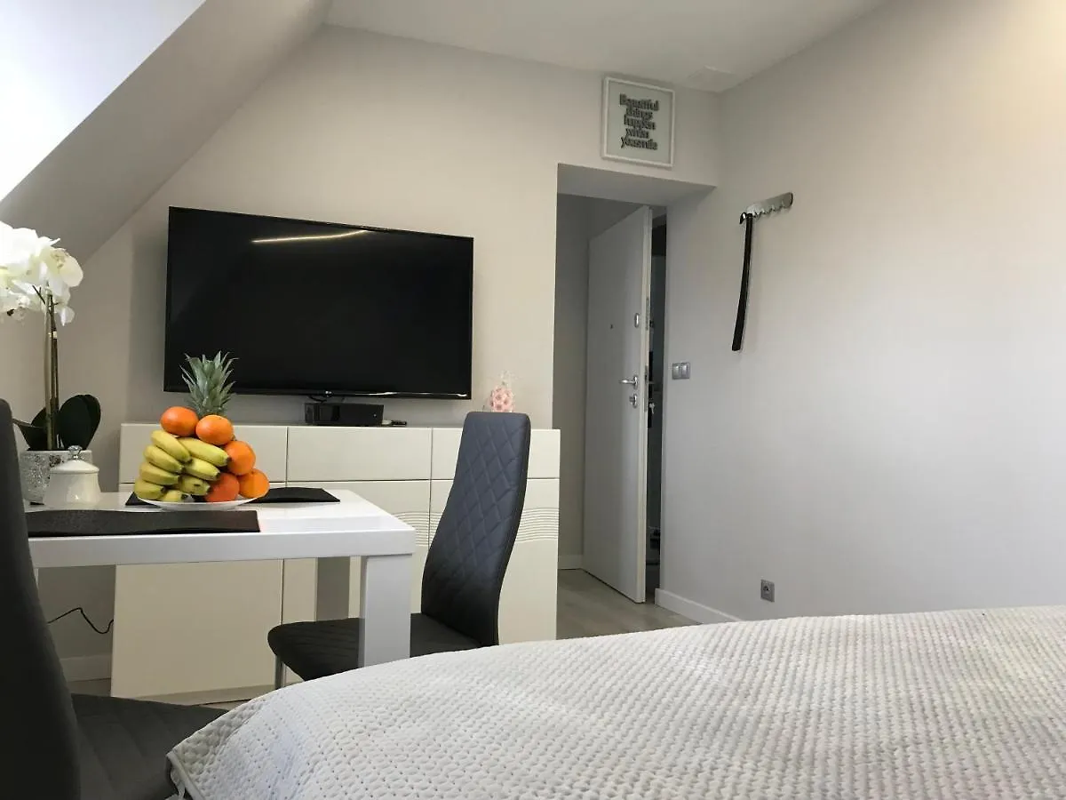 Novel Old Town Apartment Warsaw